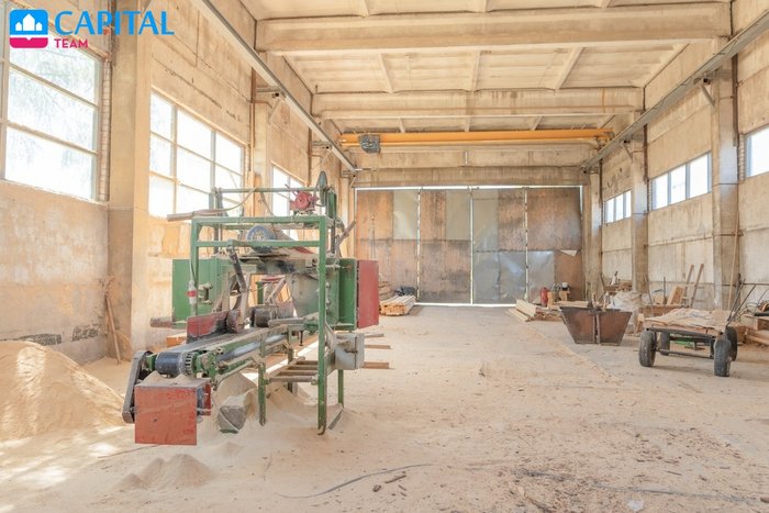 zarasu-r-sav-paduscio-k-liepu-skg (3)